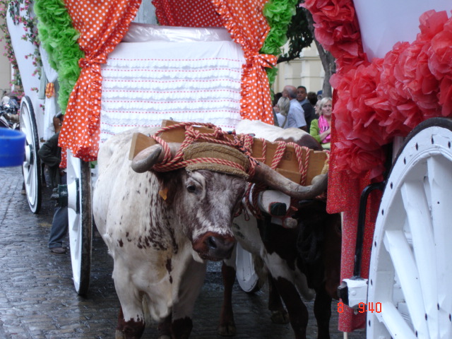 Romería del Rocío.JPG