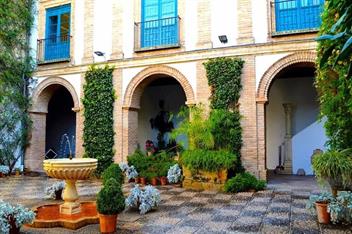 Een patio in Córdoba met prachtige bloemen