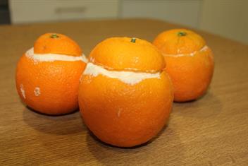helado de naranja.jpg